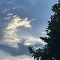 Sky (@sky1897233) 's Twitter Profile