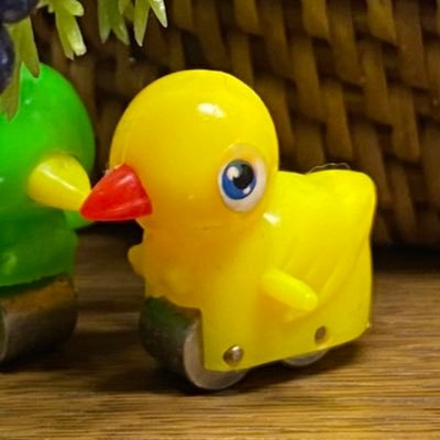 きみがいっこさんのプロフィール画像
