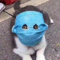 (=`ェ´=) (@yoonyeony) 's Twitter Profile Photo (=`ェ´=) (@yoonyeony) 's Twitter Profile Photo