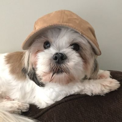 yedongmei2's profile picture. 