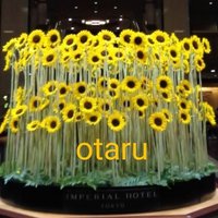 o_ta_ru_yu- (@otaruyu) 's Twitter Profile