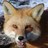 mkj90tex's profile image