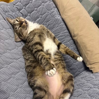 140627kkc's profile picture. 