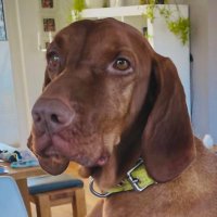 Marcus Lindenlauf (@m_brauweiler) 's Twitter Profile
