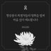 71-81전주 (@songjeongh5986) Twitter profile photo 71-81전주 (@songjeongh5986) Twitter profile photo