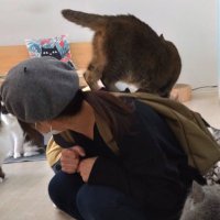 なか ︴動画編集 (@nk_happyhappy) Twitter profile photo