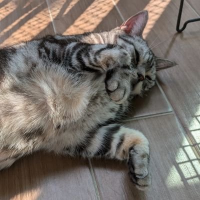 oz3ApjYJwk94667's profile picture. 