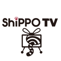 ShippoTV (@shippotv) 's Twitter Profile Photo ShippoTV (@shippotv) 's Twitter Profile Photo