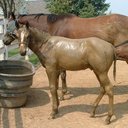 Denise Hyde Carlucci - @Codyd5Hyde - Twitter