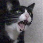 y4ccount's profile picture. 