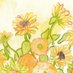 sunflower (@girasoiedad) Twitter profile photo sunflower (@girasoiedad) Twitter profile photo