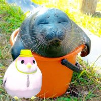 Bombastus (@rotunderobbe) 's Twitter Profile