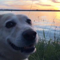 You (@jewishmotherof4) 's Twitter Profile