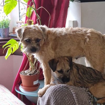 DavidC_in_UK's profile picture. Just a guy in the UK