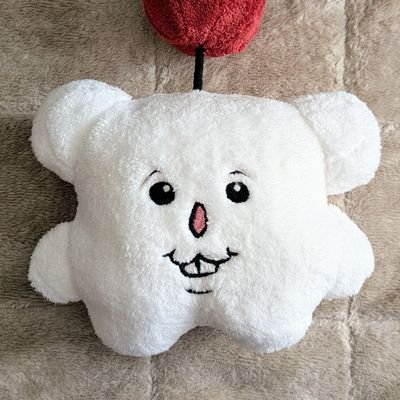ハナダ🍄🍄さんのプロフィール画像