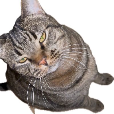 bronsonreed82's profile picture. 
