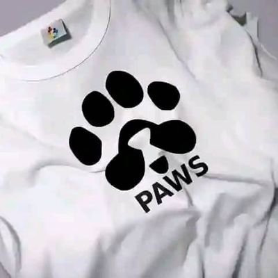 AnmadSalis85951's profile picture. 