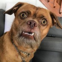 Keith Mambo (@keithmambo) 's Twitter Profile Photo