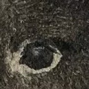 suszzah's profile picture. i mostly just like art here but SOMETIMES post here|22|🔞