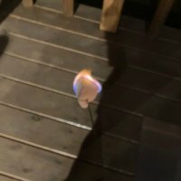 琴ノ助 (@qo0o0op9) 's Twitter Profile