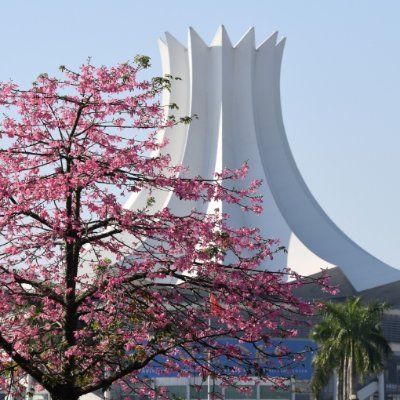 in_nanning's profile picture. The official account of Nanning City, capital city of China's Guangxi Zhuang Autonomous Region.