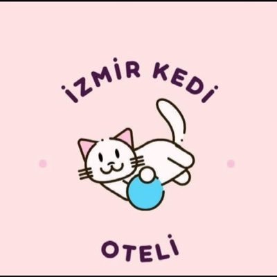 Profesyonel veteriner eşliğinde kurulmuş işletmemiz hizmetinizde özel oyun alanları her çocuğun şahsına özel yuvacıkları mama kum vs kapları özeldir