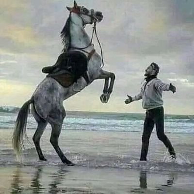 كل ما نريده و نتمناه .. موجودٌ هناك .. على الجانب المقابل للخوف