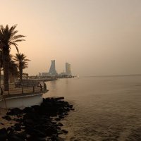 عادل محمد مصطفى (@b67b91c76f36452) 's Twitter Profile