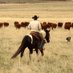 Nomadic Pastoralist (@mabiorgarang_) Twitter profile photo Nomadic Pastoralist (@mabiorgarang_) Twitter profile photo