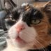 minky goblin (@minkythecat) Twitter profile photo minky goblin (@minkythecat) Twitter profile photo
