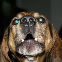 Jim Usher - @jimusher67 - Twitter