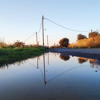 the__od__'s profile picture. 