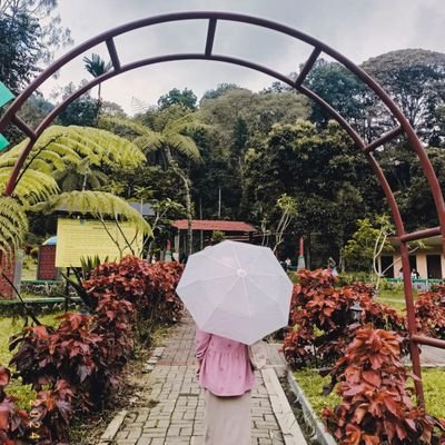 brooooogirl's profile picture. Pencari ibu jari tak bertulang