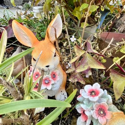 STAY🐥🦊/94/お取引(共同購入、代行ともに経験あり)兼本垢 是非お気軽にお話して頂けると嬉しいです☺️ https://t.co/CbmyeofrPi