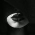 Forgiveme (@trytoforgiveme_) Twitter profile photo Forgiveme (@trytoforgiveme_) Twitter profile photo