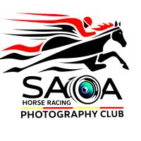 🏇佐賀競馬写真部🏇Ed.蟲野郎 (@sagakeibaphoto) 's Twitter Profile Photo 🏇佐賀競馬写真部🏇Ed.蟲野郎 (@sagakeibaphoto) 's Twitter Profile Photo