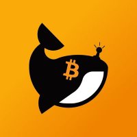 💰💰|不会塞内盘💎 (@crypto_qz) 's Twitter Profile