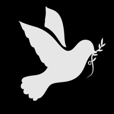 Dr. Saeed Mohammadi PhD in International Law - PhD in Political Science and International Relations -Human rights and women's rights activist - journalist