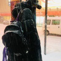 mees uᥫ᭡ˊ˗ (@maliadnstaa) 's Twitter Profile