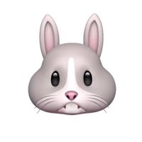 산 독 기 (@dokkkkii) 's Twitter Profile Photo 산 독 기 (@dokkkkii) 's Twitter Profile Photo