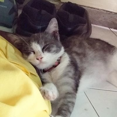 mudadioidadum's profile picture. 18. He/him