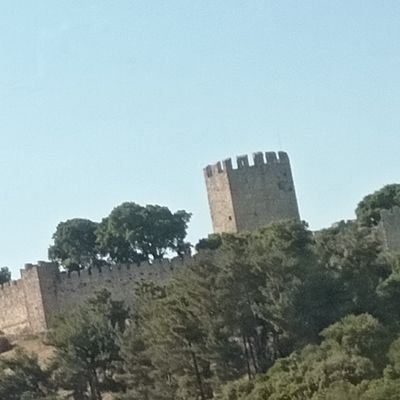 zdjuric's profile picture. Faculty of Arts / Associate / restless dreamer