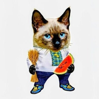 BastyonC's profile picture. https://t.co/jrESBVhYWu