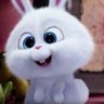kpmam_smiley's profile picture. #SmileyofCharlotte ☺️🐰🌻🏡🪐 #เทรนไม่เก่งเน้นรี