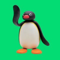 Pingu🐧 (@pingu_hodl) Twitter profile photo