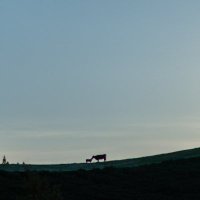 うま (@uruusu) Twitter profile photo