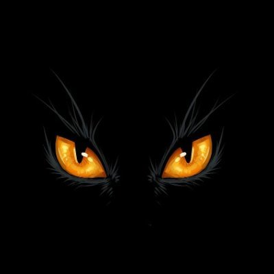bluemind0x's profile picture. crypto life