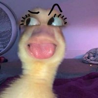Felix (@cryp_felix) 's Twitter Profile