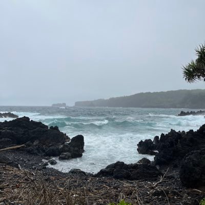 jared_gwin4's profile picture. 