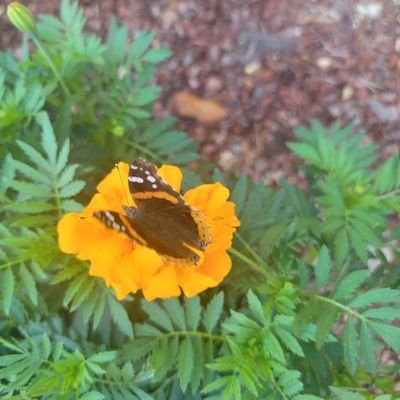 Rtuy54231467's profile picture. 